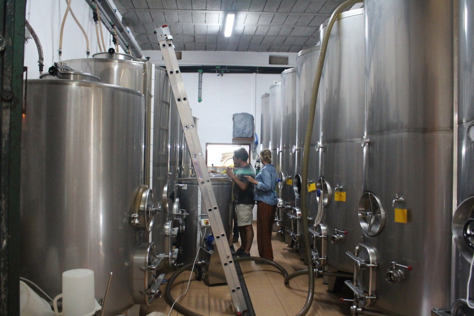 Wine vats