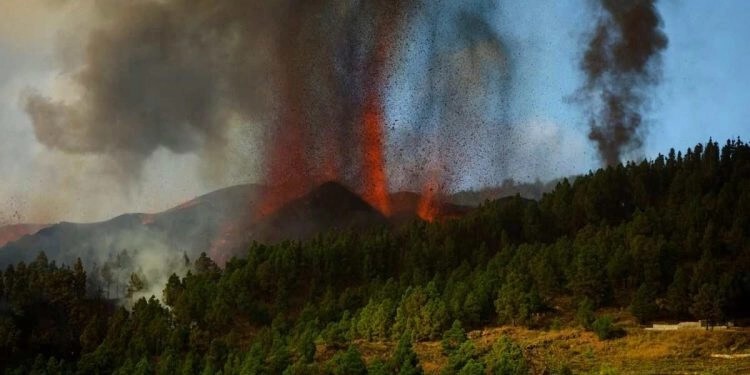 The eruption quickly grows (image: EFE/ Miguel Calero)
